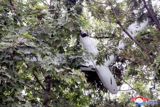 တောင်ကိုရီးယားစစ်တပ်သည် ပြုံယမ်းမြို့တော်တွင်...