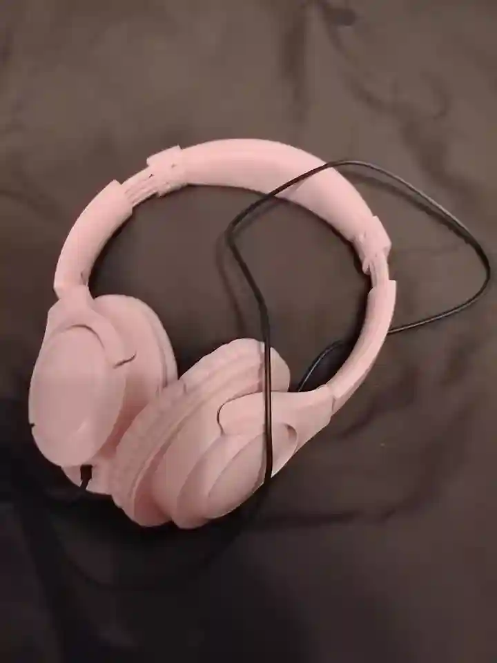 New ListingHeadphones With A Mic