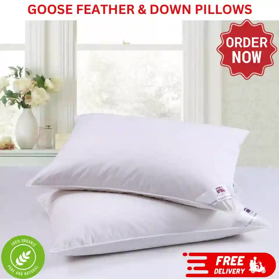 GOOSE FEATHER & DOWN PILLOWS PILLOW EXTRA FILLED HOTEL QUALITY PACK OF 2