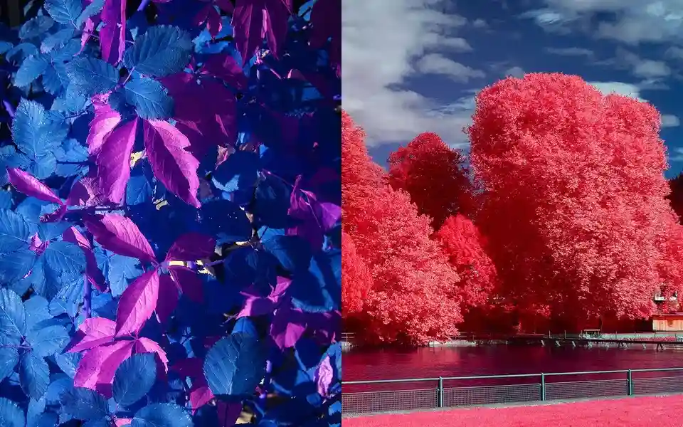 INFRARED Nikon BODY | Exclusive BLUE & AEROCHROME | IR Full spectrum IR DSLR