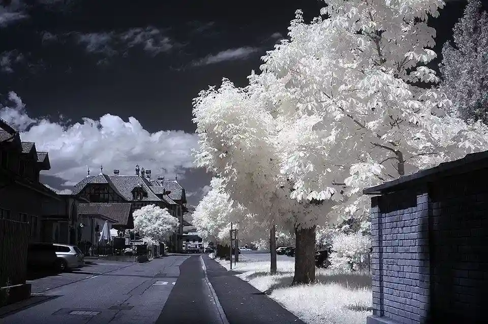 INFRARED Nikon BODY | Classic WHITE TREES 720nm WITH CCD! CONVERTED TO IR