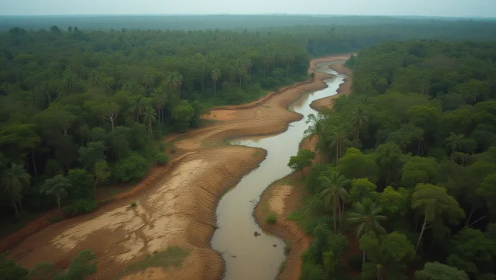 Kesan Penebangan Hutan terhadap Tanah: Krisis Tersembunyi